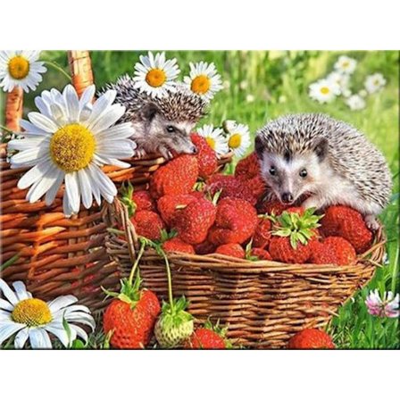 30x40cm, Pinnsvin i kurven 5d diamantmalt rhinestones brodert lerret