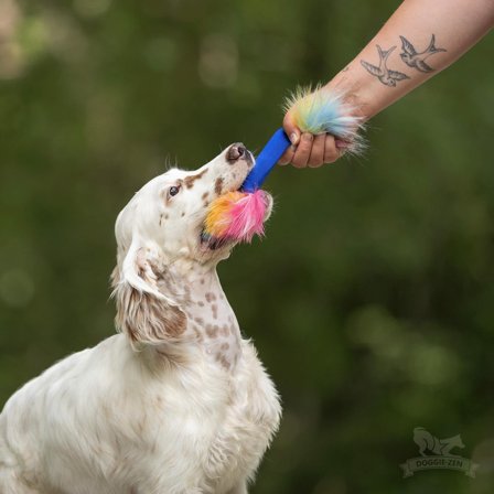 Doggie-Zen Dummy Hundeleke med Pipelyd - 21cm