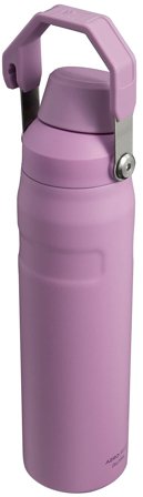 Stanley IceFlow Water Bottle Fast Flow 0,6 L, Sport & Velvære, Drikkedunke & Shakers, Drikkedunke