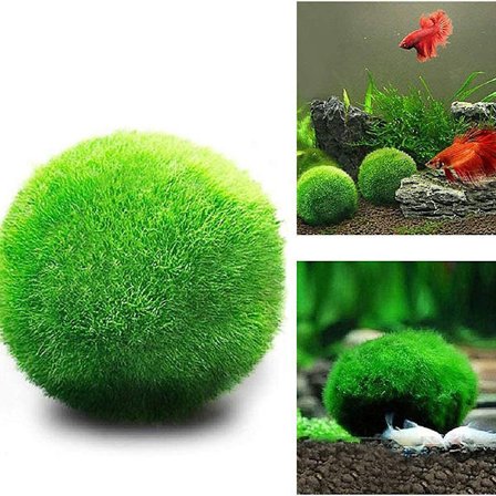 Medelstora mossbollar, akvariedekor, arvegåva, älskad av akvarium KLB