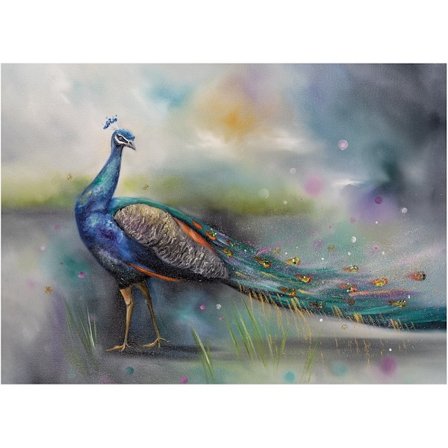 Alison Mcilkenny LooK At Me Påfågel Tryck 30cm x 40cm Grå