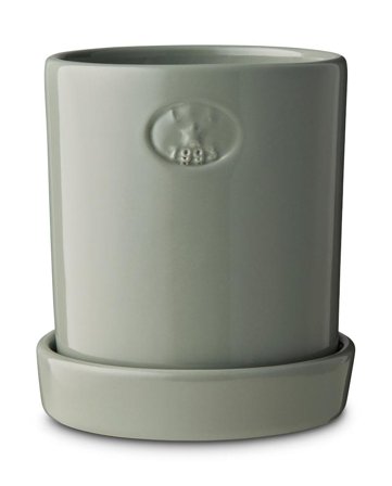 Lexington Potte Terrakotta Eucalytus Ø10xH14