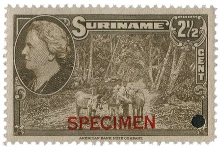 Suriname - Wilhelmina 1945 specimen opdruk 250 euro cataloguswaarde (nr.223