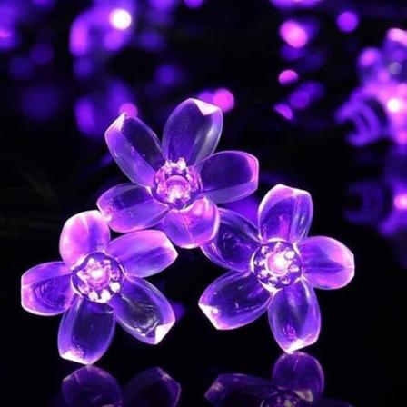 Solar Lanterne, 23Ft/7M 50Led Peach Blossom Dekorative Solar String Lights til udendørs have