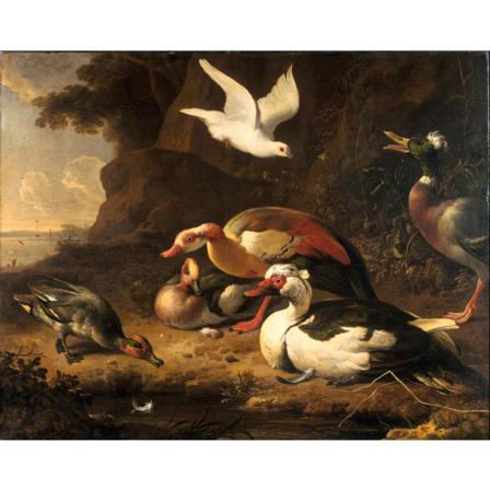 Ducks (ca. 1675-80), Melchior D'hondecoeter Brun