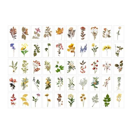 50 Ark/pakke Dekorationsmærkat Natural Art 4 4