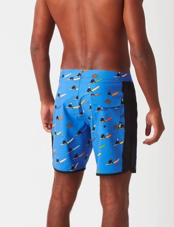 PICTURE ORGANIC CLOTHING Sb 17 Boardshorts - Blue - 34