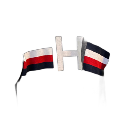 Tommy hilfiger tröja