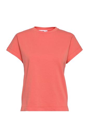Sevilla Pink Mango