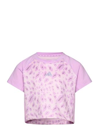 Jg Aop Tee Pink Adidas Performance