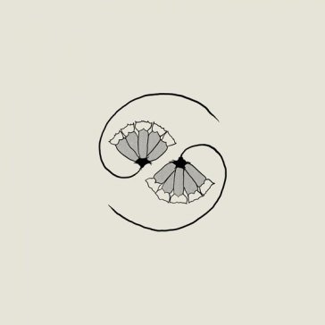 G d s pee at state s end! GODSPEED YOU! BLACK