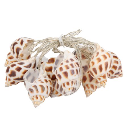 Conch-formede 10 LED-lyskæder batteridrevne til indendørs og udendørs fødselsdagsbryllup varmt lys