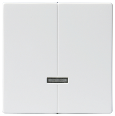 ABB Impressivo Keskiölevy kaksitoimiselle valonsäätimelle valkoinen, Kytkimet & pistorasiat