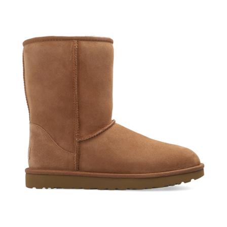 UGG Schoenen , Bruin , Dames , Maat: 41 EU
