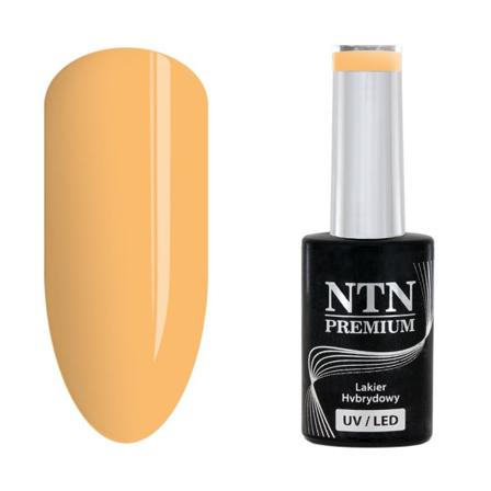 Ntn Premium - Gellack - Show - Nr110 - 5g Uv-gel/led