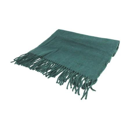 Givenchy Pre-owned, Pre-owned Scarf Groen, Dames, Maat:ONE Size,wol