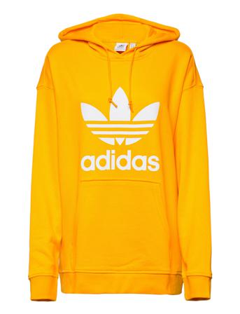 Adidas Adicolor Trefoil Hoodie Hettegenser Genser Oransje Adidas Originals