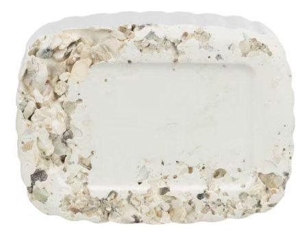 Kalkstein med Skjell til Parakitt og Papegøye - 200g