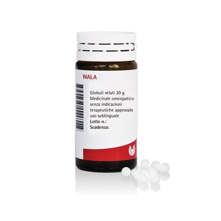 Wala Hirudo Compositum Medicinale Omeopatico 20g