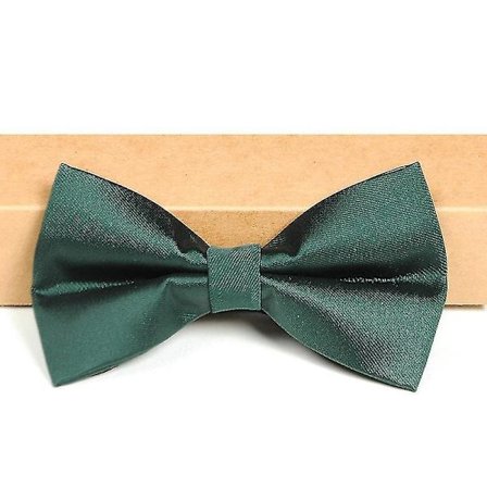 Formell Kostym Fluga Röd G Man Bröllopsfluga Grön