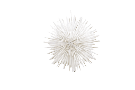 Venture Home Sälen Adventsstjärna Julbelysning Unisex Vit 35 cm