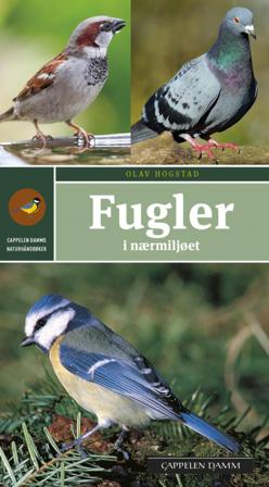 Fugler i nærmiljøet - Bok av Olav Hogstad - Paperback