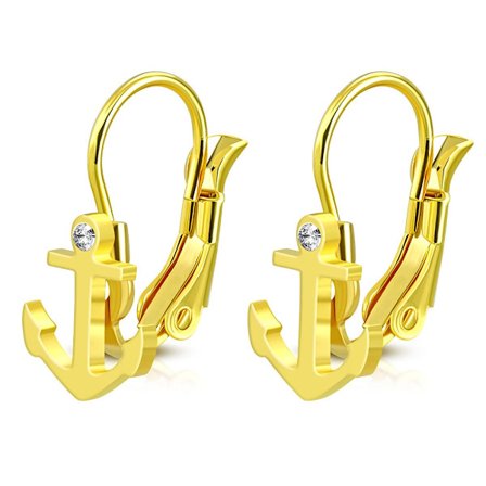 Hoop Örhängen i Kirurgiskt Stål 316L med Ankare & Klar Cubic Zirconia Kristall i Guld Färg