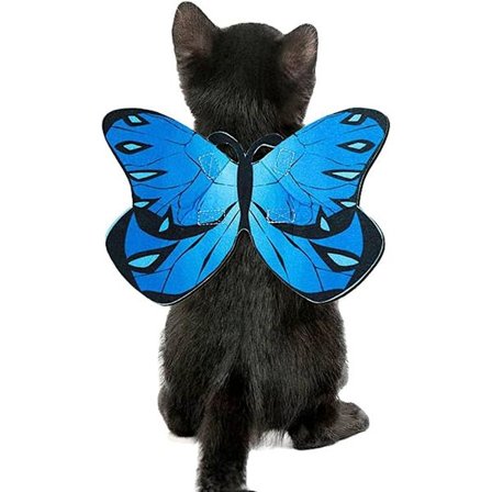 Sommerfuglvinger til katt og hund for Halloween-festdekorasjon, Halloween-kostyme for hund og katt, tilbehør for valp og katt