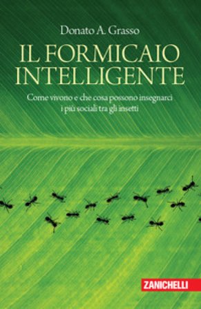 Il formicaio intelligente. Come vivono e che cosa possono insegnarci i più sociali tra gli insetti Donato A. Grasso