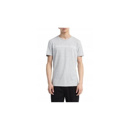 T-paidat Calvin Klein ZM0ZM01316CHW Harmaat 178 - 180 cm/S