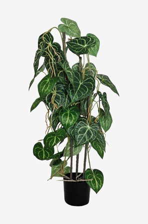Nordic Furniture Group - Kunstplante Viridis Anthurium - Grøn - Kunstige planter - Fra Homeroom