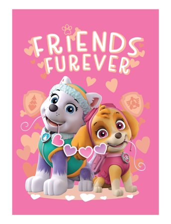 BrandMac | Fleece Paw Patrol - Pp 1056 - 100X140 Cm | 100X140CM