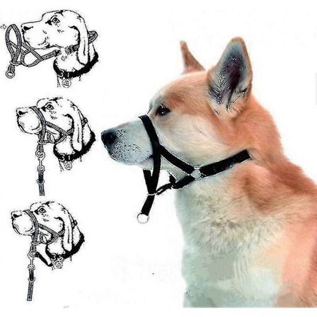 Halti Hovedsele Hundetræning Lydighed Stop Træk I Line Ingen Træk Løsning