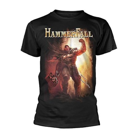 Hammerfall Detrone And Defy T-shirt