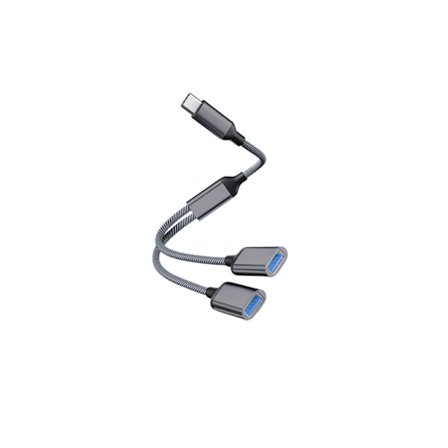 Type-C til Dual USB 2.0 Adapter