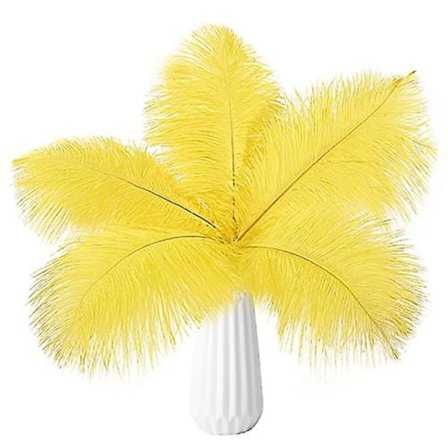 10 st strutsfjädrar naturlig bulk