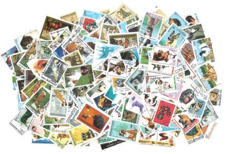 Hunde og katte - 250 forskellige