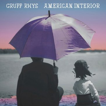 American interior Gruff Rhys