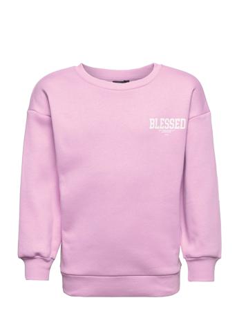 Nlfnessed Ls L Sweat Sweat-shirt Tröja Rosa LMTD
