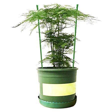 Stödjande Växtskydd, Justerbara Tomatburar för Krukor och Trädgårdar, Hållbar Trädgårdsspaljé i Järn Säkerställer Hälsosam Upprätt Tillväxt, 