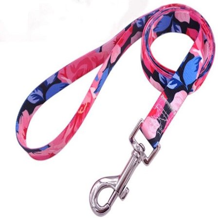 Koiranpentu Lead Lemmikkien lyijy 9 9