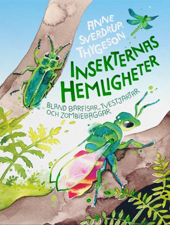 Insekternas hemligheter : bland bärfisar, tvestjärtar och zombiebaggar - Bok av Anne Sverdrup-Thygeson - Inbunden