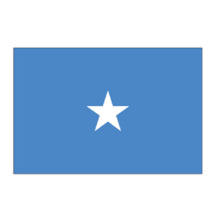 Somalia flagg Hvit