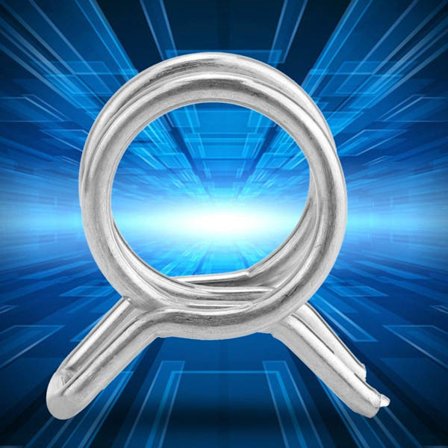 100 st/set rostfritt stål dubbla trådfjäderklämma slang KLB