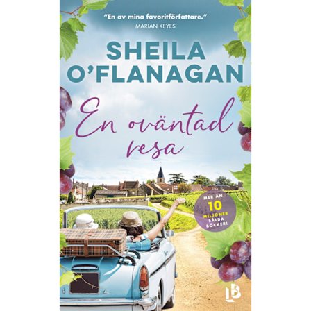 En oväntad resa 9789177993315