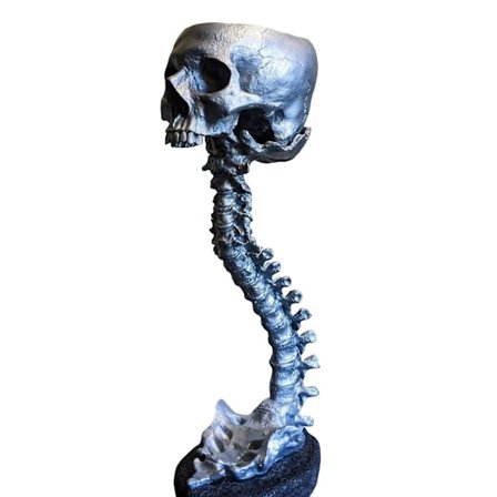 Plantepot med kranium og rygsøjle Retro menneskeskallehoved blomsterpotte Velegnet til hjem kontor udendørs