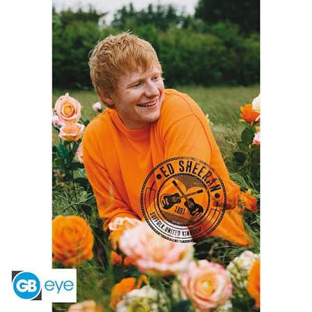 ED SHEERAN - Rose Field