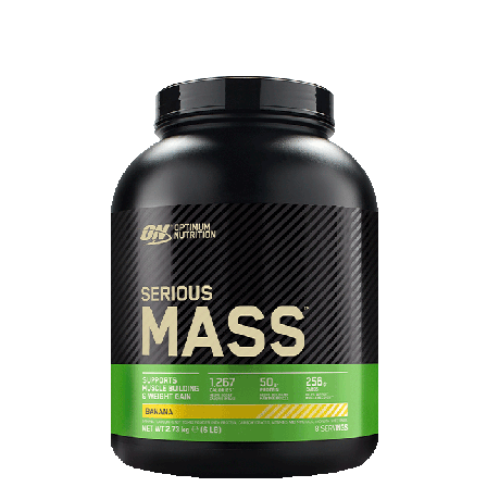 Optimum Nutrition Serious Mass Gainer 2,7 kg