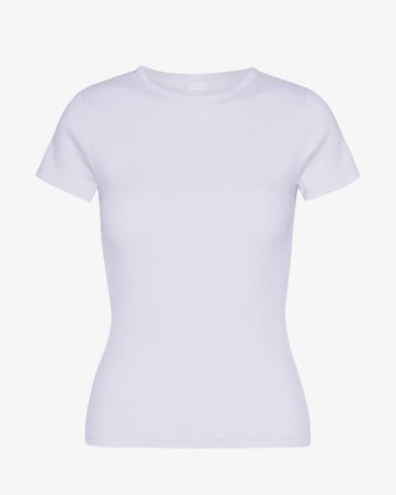 Organic Rib T-Shirt - Soft Lavender - Female - XS