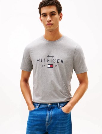 Tommy Hilfiger Brand Love Big Hilfiger Tee - Grey - XXL